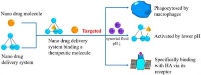 Development of Nanomaterials to Target Articular Cartilage for Osteoarthritis Therapy